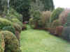 garden.jpg (147650 bytes)