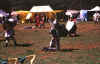 joust.jpg (58114 bytes)