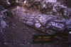 petrified.jpg (52405 bytes)
