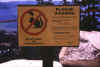 plague.jpg (40590 bytes)