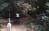 sanandreas.jpg (52632 bytes)