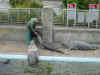 sealsanctuary.jpg (242850 bytes)